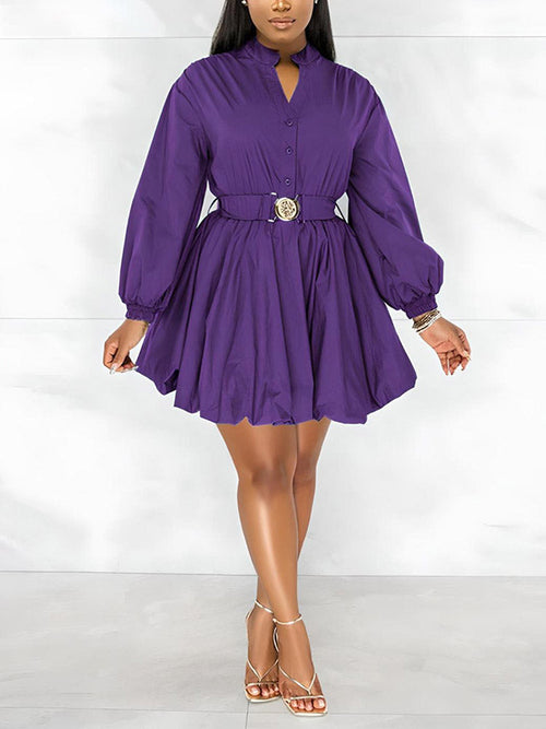 Belted Puffy Sleeve Dress