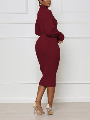 Turtleneck Knit Tie Waist Dress