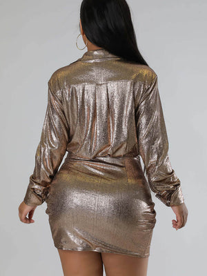 Metallic Ruched V Neck Dress