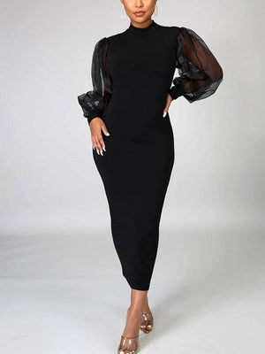 Elegant Mesh Long Sleeve Dress