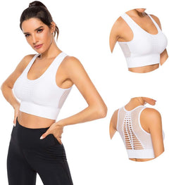 YM & Dancer C40 Women's Longline Sport Bra Seamless Yoga Crop Top Medium-Low Support Workout Bra