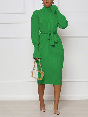 Turtleneck Knit Tie Waist Dress